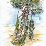 Carnet de voyage 6
